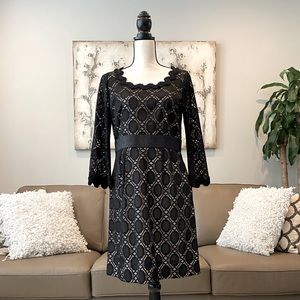 *NWT* Phoebe Couture Lace dress w/ contrast trim